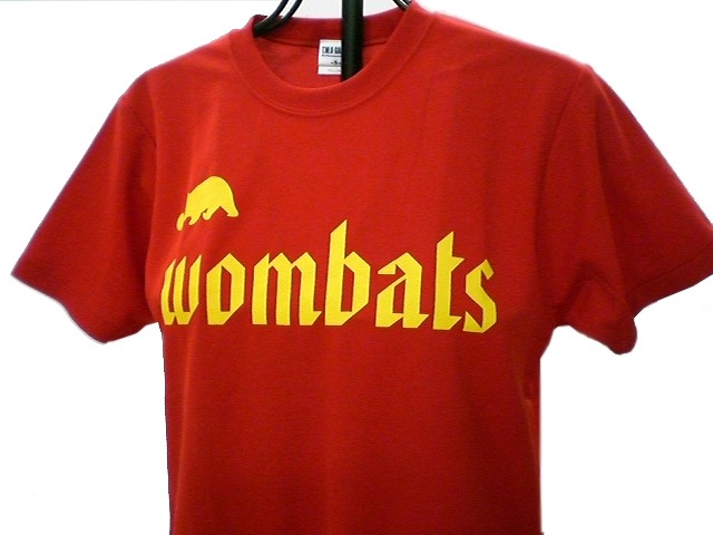 チームTシャツ・ウェア お客様の写真と声 : Wonbats　様３