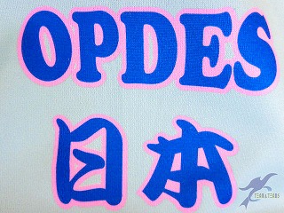 カラーオーダーオリジナル昇華Ｔシャツ アジリティー OPDES AGILITY JAPAN TEAM様