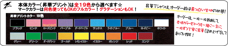 オリジナルカラーオーダー昇華Ｔシャツ　カラー